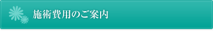 施術費用のご案内