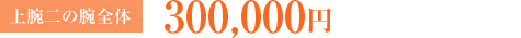 上腕二の腕全体：300,000円