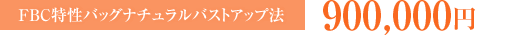 FBC特性バッグナチュラルバストアップ法：900,000円