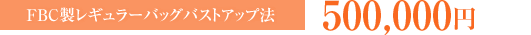 FBC製レギュラーバッグバストアップ法：500,000円