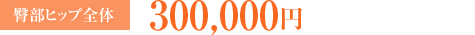臀部ヒップ全体：300,000円