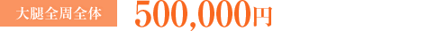 大腿全周全体：500,000円