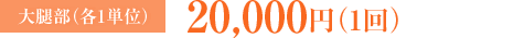 大腿部 各1単位：20,000円（1回）