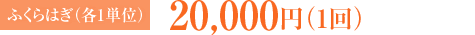 ふくらはぎ 各1単位：20,000円（1回）
